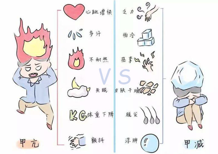 星空app登录入口-星空online(中国)